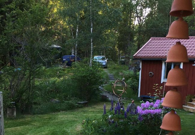 Stuga i Edsbro - Semester i Uppland mellan badsjöar och Östersjökusten