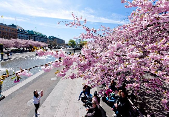 Stuga i Edsbro - Semester i Uppland mellan badsjöar och Östersjökusten Stuga i Edsbro - Semester i Uppland mellan badsjöar och Östersjökusten