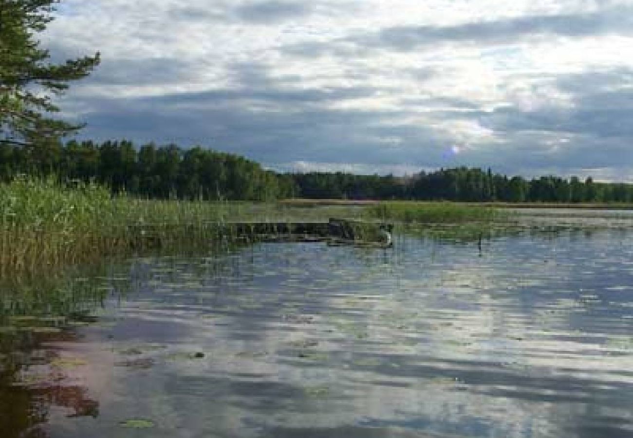 Stuga i Edsbro - Semester i Uppland mellan badsjöar och Östersjökusten
