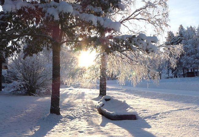 Stuga i Gargnäs - Timmerstuga i hjärtat av Lappland