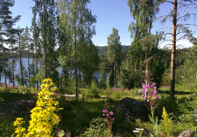 Stuga i Trehörningsjö - Härlig stuga vid sjö med egen brygga