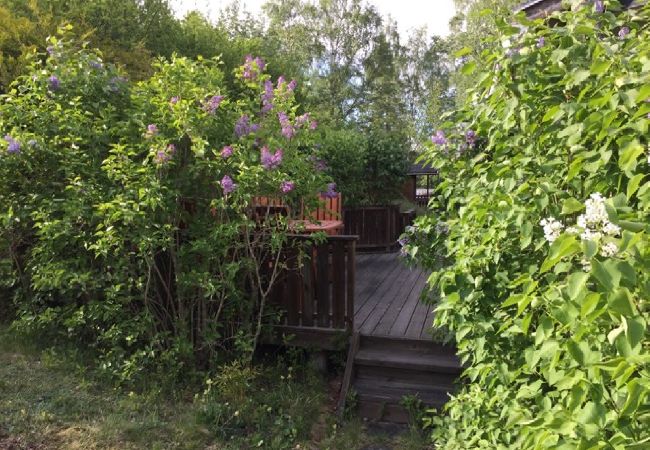 Stuga i Uppsala - Med fri utsikt över Hammarskog Stuga i Uppsala - Med fri utsikt över Hammarskog