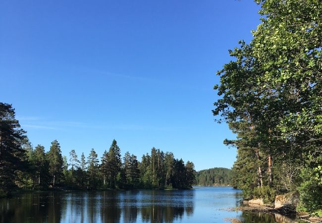 Stuga i Aspabruk - Stuga mitt i Trivedskogen mellan två sjöar Stuga i Aspabruk - Stuga mitt i Trivedskogen mellan två sjöar