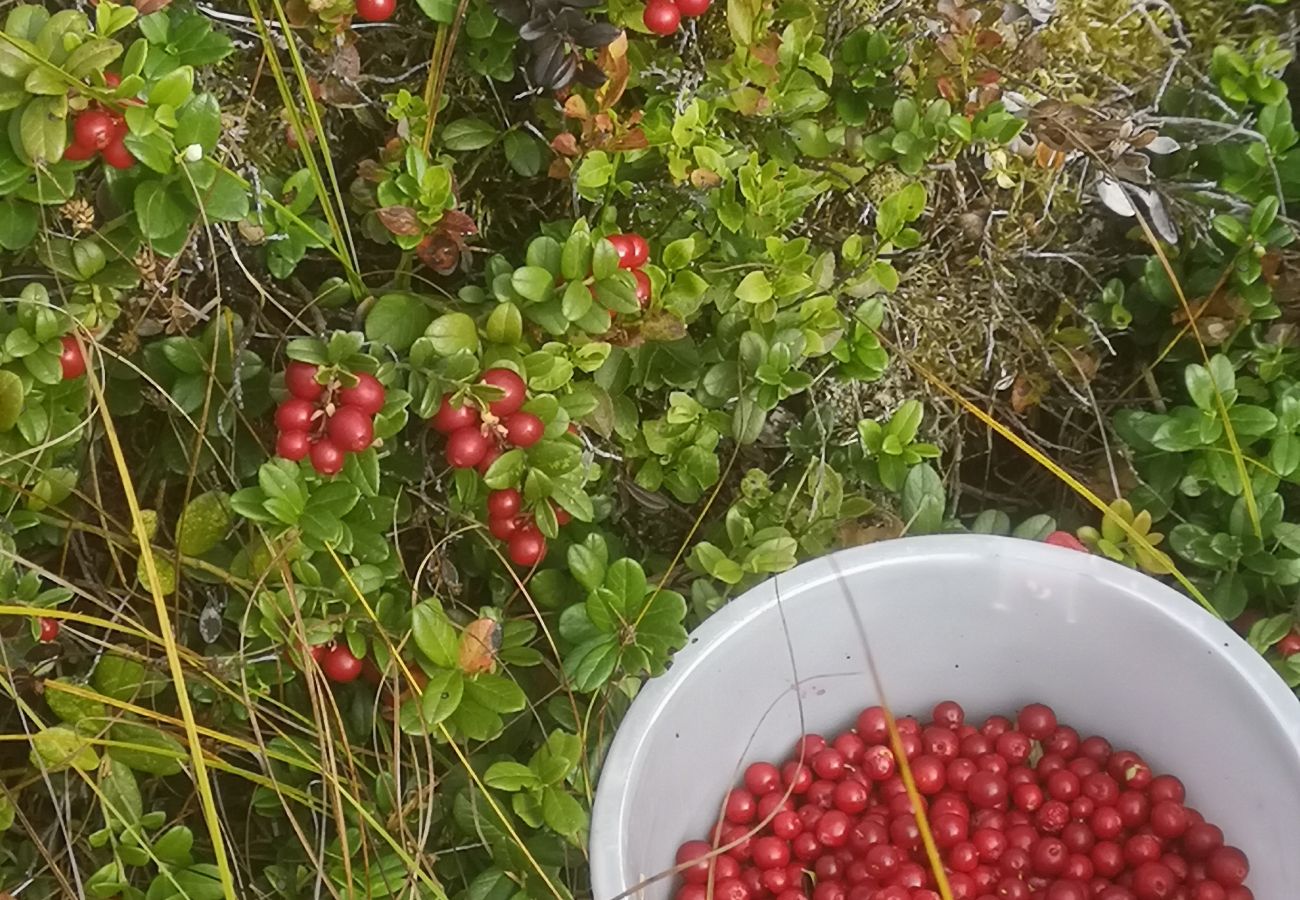Stuga i Sysslebäck - Mysigt fritidshus för vinter- eller sommarsemester i Mellansverige