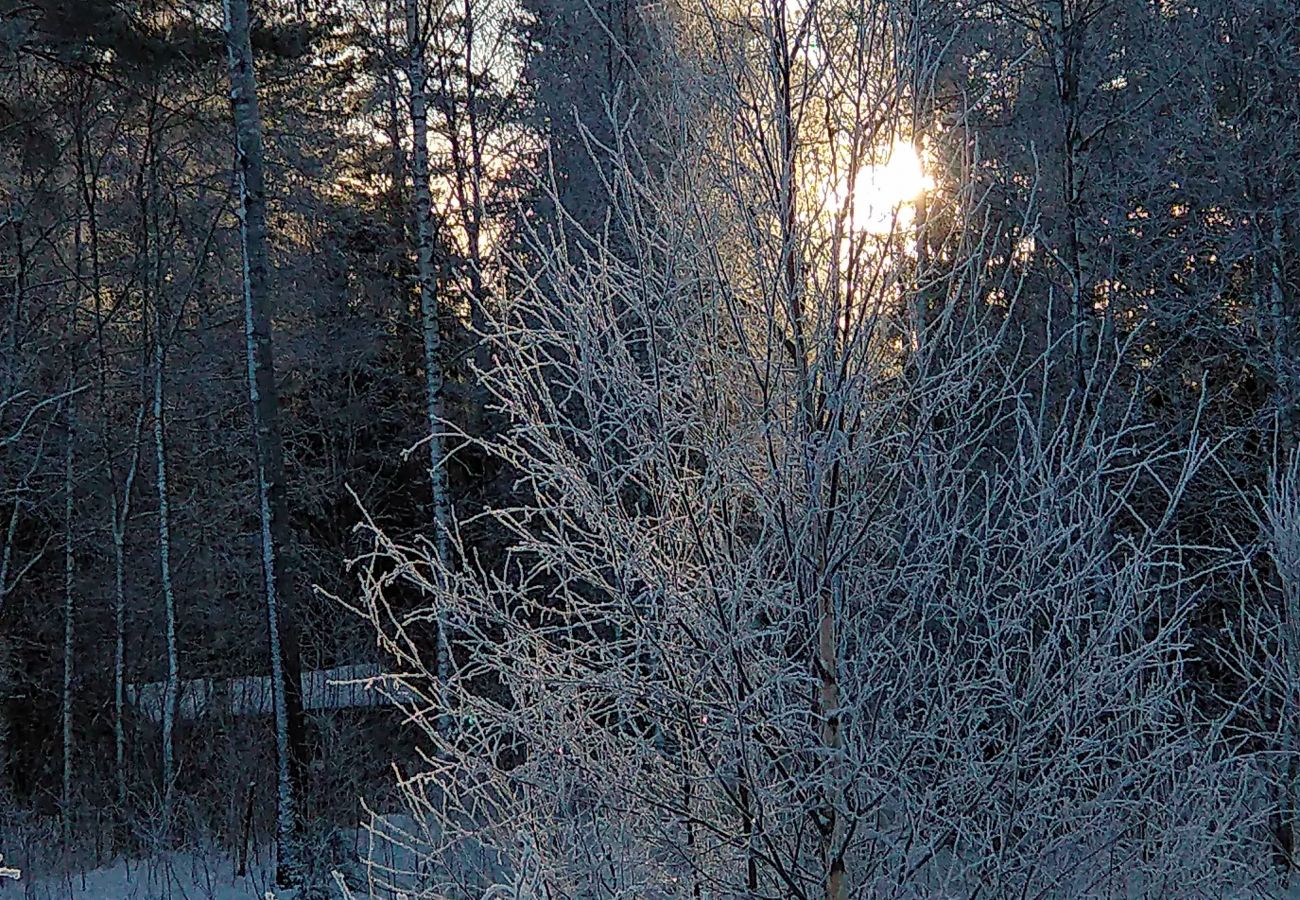 Stuga i Kopparberg - Semester i hjärtat av Bergslagen vid en liten sjö