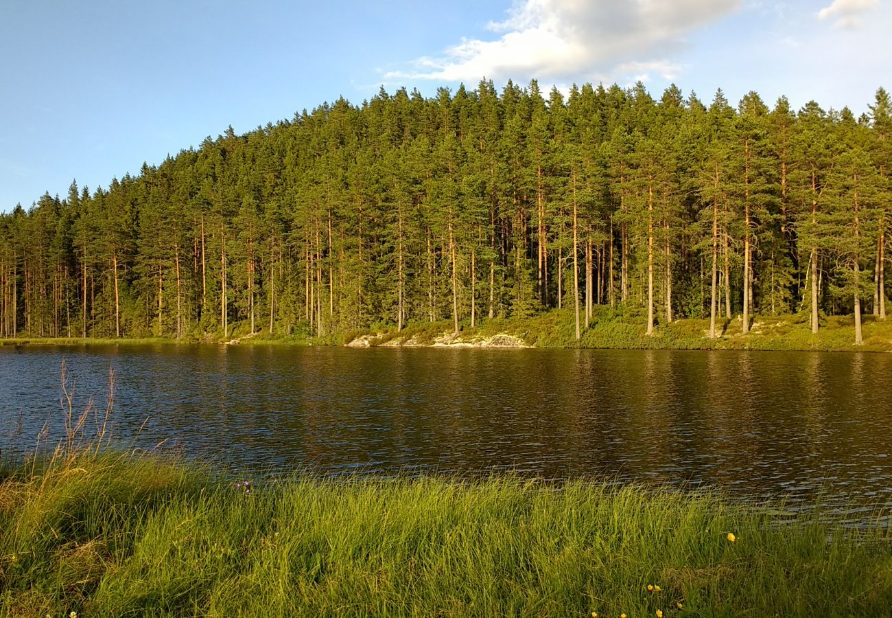 Stuga i Kopparberg - Semester i hjärtat av Bergslagen vid en liten sjö