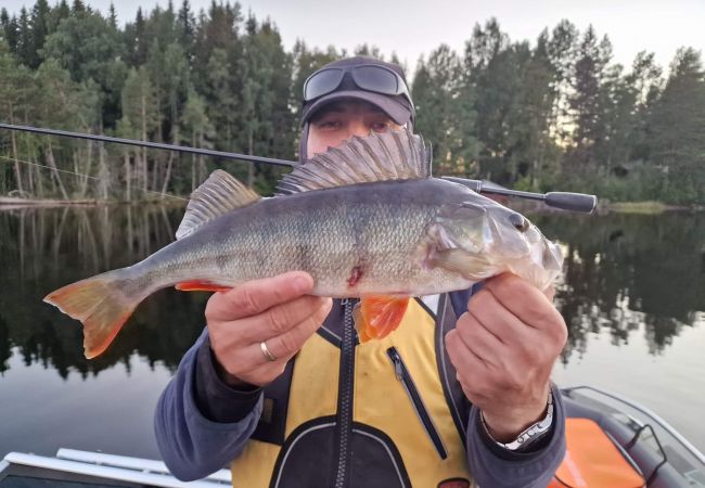 Stuga i Gällö - Fin stuga på lantgård med sjöutsikt!