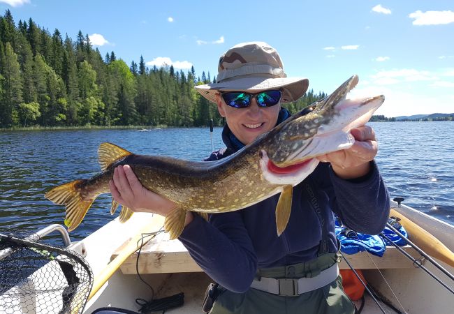 Stuga i Gällö - Fin stuga på lantgård med sjöutsikt!