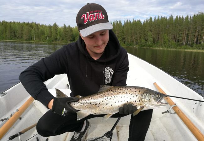 Stuga i Gällö - Fin stuga på lantgård med sjöutsikt!