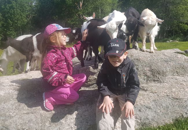 Stuga i Gällö - Fin stuga på lantgård med sjöutsikt! Stuga i Gällö - Fin stuga på lantgård med sjöutsikt!
