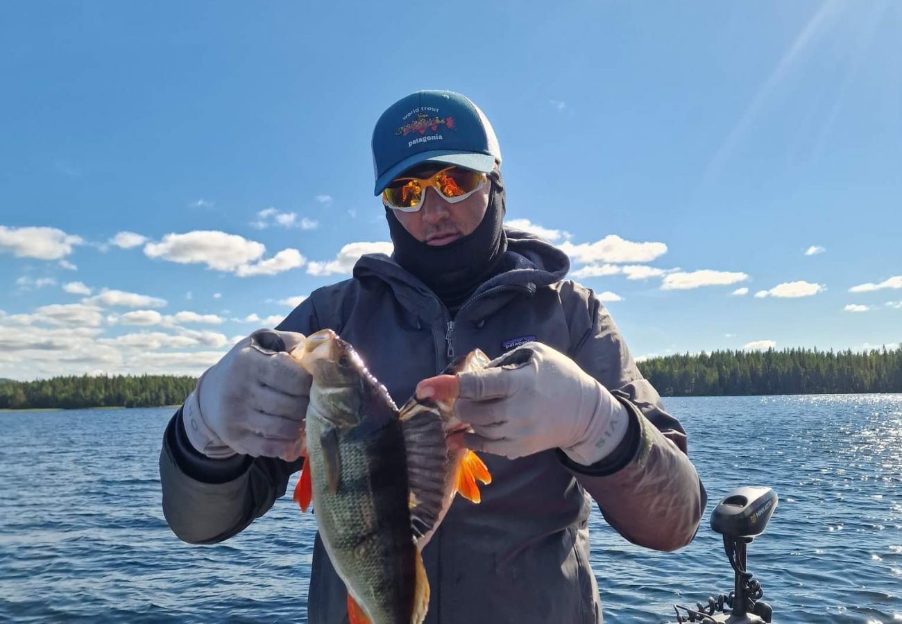 Stuga i Gällö - Fin stuga på lantgård med sjöutsikt!
