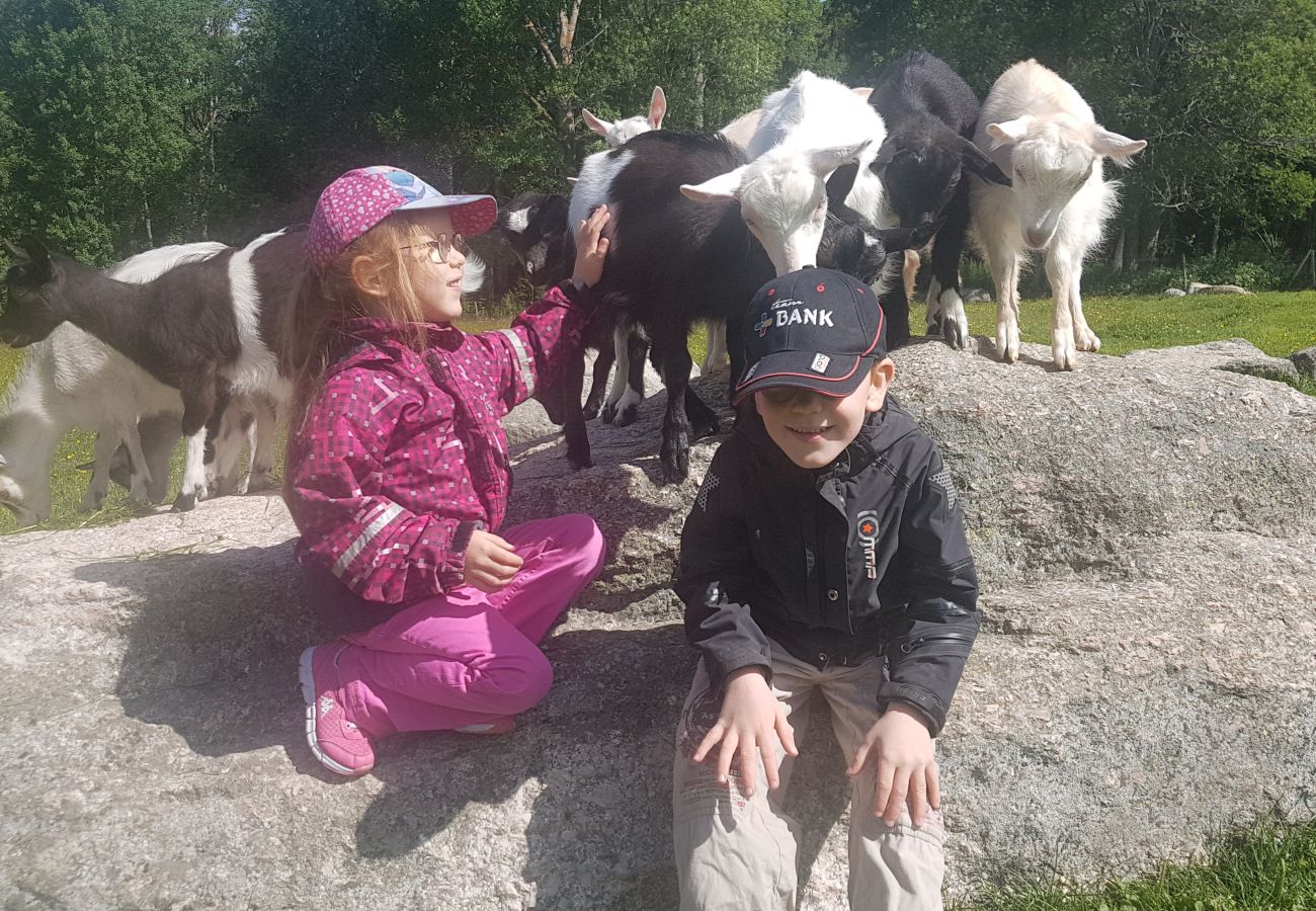Stuga i Gällö - Fin stuga på lantgård med sjöutsikt!