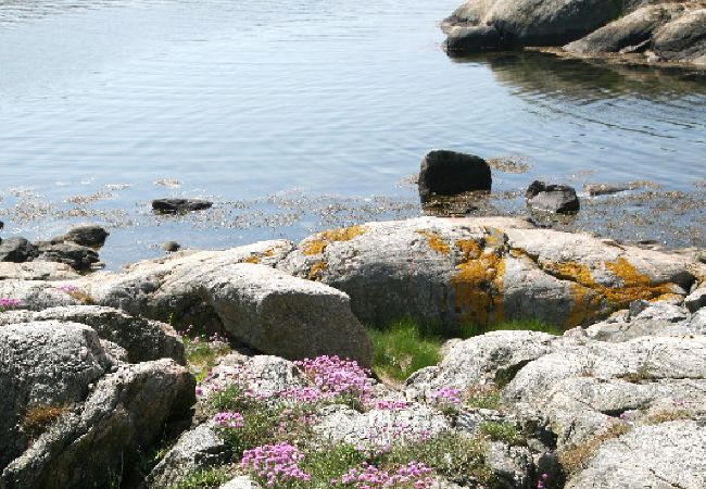 Lägenhet i Vrångö - Villa Solviken Lägenhet i Vrångö - Villa Solviken