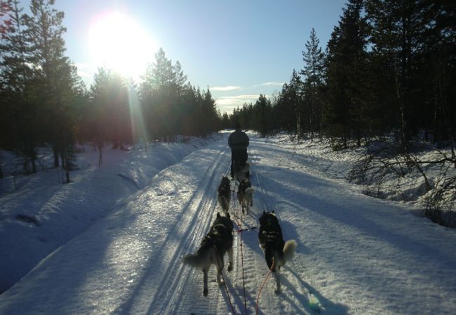 Stuga i Sollefteå - Swedish cottage Backsjön