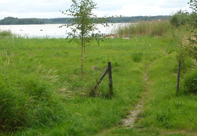 Stuga i Köping - Mysigt fritidshus vid sjön med egen båt Stuga i Köping - Mysigt fritidshus vid sjön med egen båt