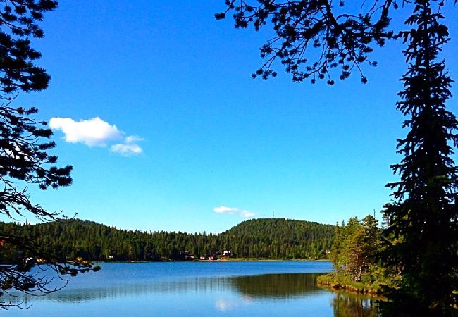 Stuga i Kiruna - Unikt vid älven med vatten runt om, fantastisk natur och enskilt läge Stuga i Kiruna - Unikt vid älven med vatten runt om, fantastisk natur och enskilt läge
