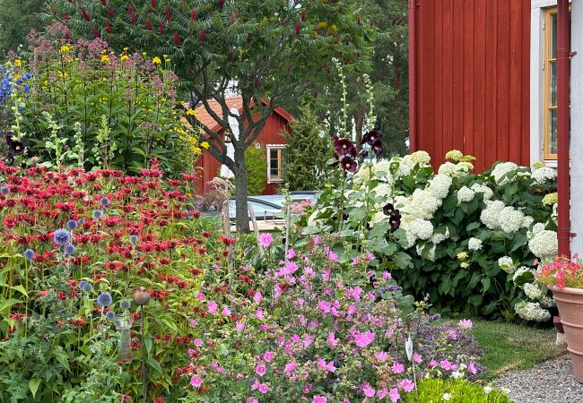 Stuga i Gnesta - Drömsemester vid sjön med pool på en herrgård i Sörmland