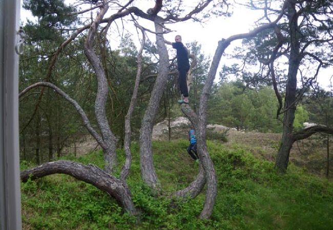 Lägenhet i Borrby - Semesterlägenhet vid Sveriges bästa sandstrand på Österlen Lägenhet i Borrby - Semesterlägenhet vid Sveriges bästa sandstrand på Österlen