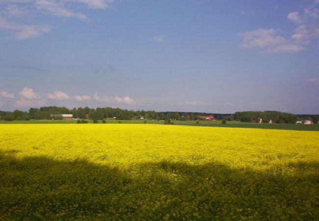 Stuga i Köping - Sörgården