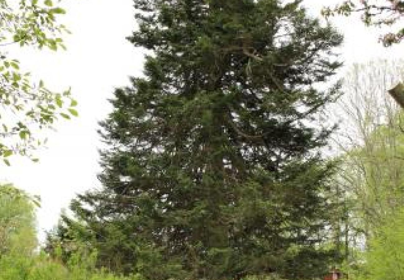 Stuga i Ydre - Rött och vitt torpstuga med skogen som granne och nära sjön och bad