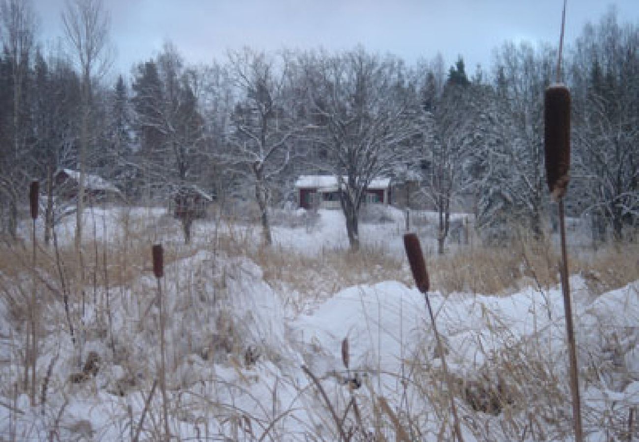 Stuga i Säffle - En pärla med båt och sauna vid Vänern