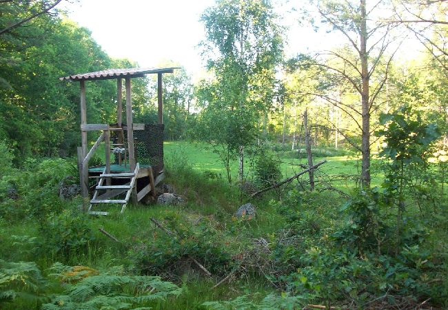 Stuga i Oskarshamn - Smålandssemester i skogen mellan sjöar och Östersjökusten Stuga i Oskarshamn - Smålandssemester i skogen mellan sjöar och Östersjökusten
