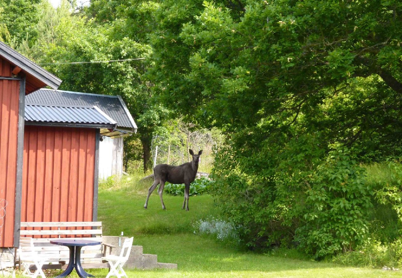 Stuga i Stillingsön - Charmig stuga på Orust