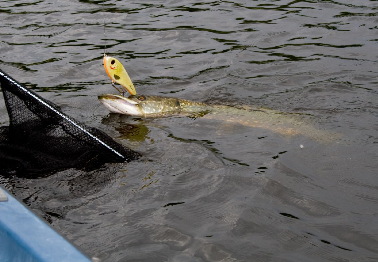 Stuga i Alingsås - Bo och fiska i en exklusiv naturskön miljö