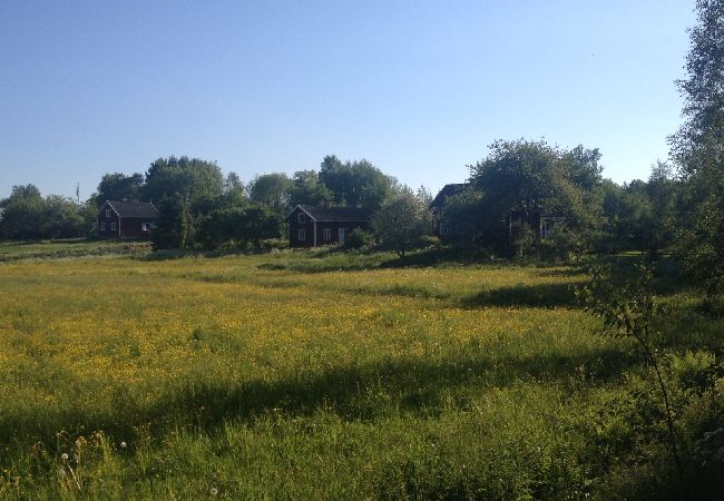 Stuga i Finnerödja - Mysig liten stuga mellan sjöarna Skagern och Unden Stuga i Finnerödja - Mysig liten stuga mellan sjöarna Skagern och Unden