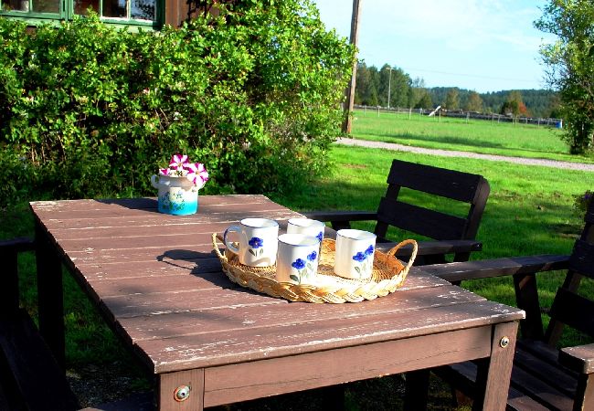 Stuga i Ydre - Stuga på landet med möjlighet att rida häst/ponny Stuga i Ydre - Stuga på landet med möjlighet att rida häst/ponny