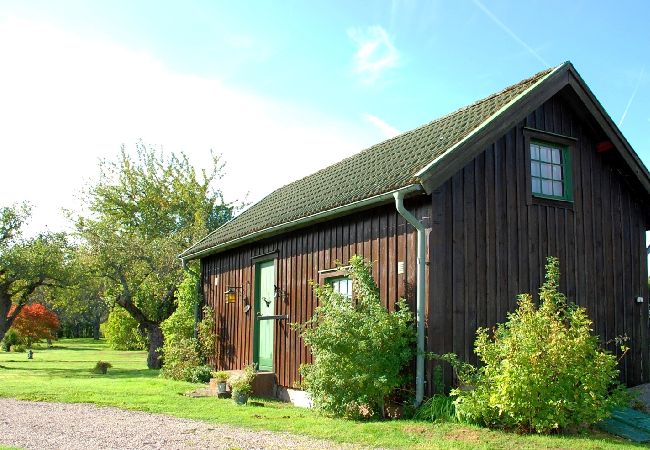 Stuga i Ydre - Stuga på landet med möjlighet att rida häst/ponny Stuga i Ydre - Stuga på landet med möjlighet att rida häst/ponny