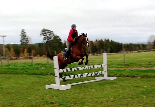 Stuga i Ydre - Stuga på landet med möjlighet att rida häst/ponny