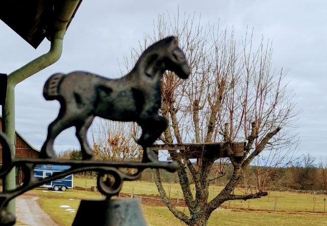Stuga i Ydre - Stuga på landet med möjlighet att rida häst/ponny