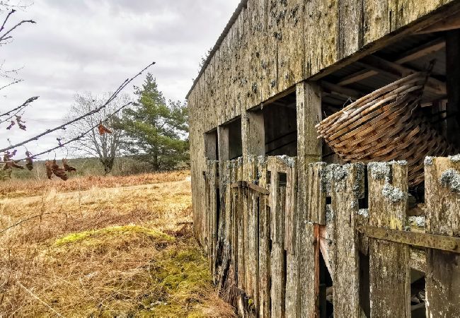 Stuga i Ydre - Stuga på landet med möjlighet att rida häst/ponny Stuga i Ydre - Stuga på landet med möjlighet att rida häst/ponny