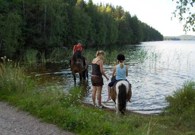 Stuga i Ydre - Stuga på landet med möjlighet att rida häst/ponny