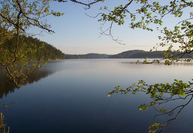 Stuga i Ydre - Stuga på landet med möjlighet att rida häst/ponny Stuga i Ydre - Stuga på landet med möjlighet att rida häst/ponny