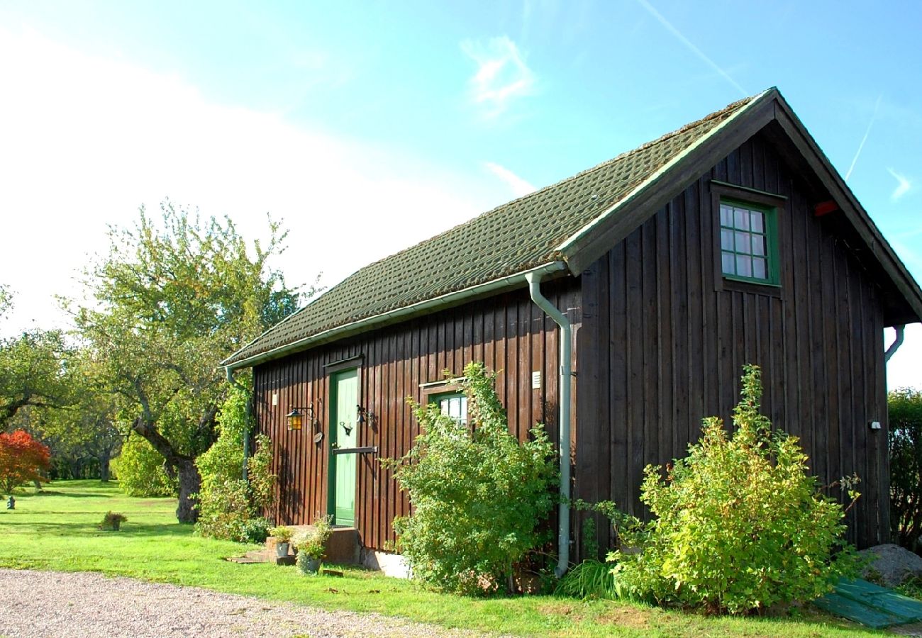 Stuga i Ydre - Stuga på landet med möjlighet att rida häst/ponny