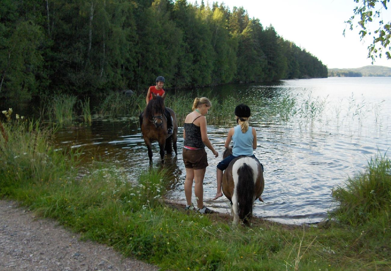 Stuga i Ydre - Stuga på landet med möjlighet att rida häst/ponny