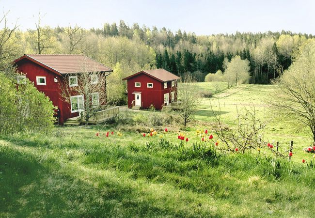 Stuga i Valdemarsvik - Modernt fritidshus med båt och WiFi på landet