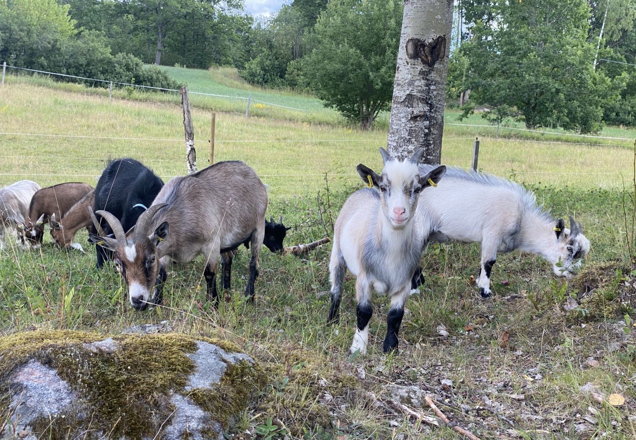 Stuga i Valdemarsvik - Modernt fritidshus med båt och WiFi på landet