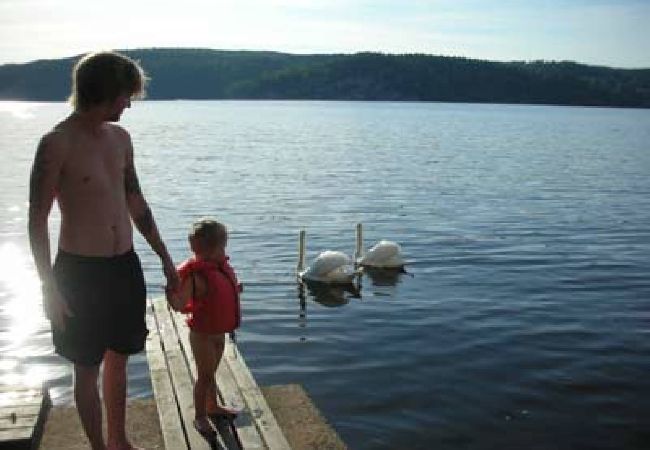Stuga i Lerum - Sjöstuga precis vid sjöstranden 15 minuter från Göteborg Stuga i Lerum - Sjöstuga precis vid sjöstranden 15 minuter från Göteborg