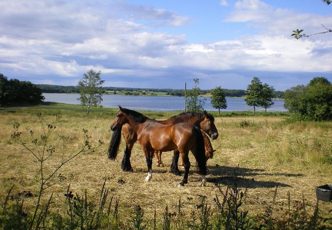 Stuga i Jämjö - Semester med havsutsikt och privat badställe