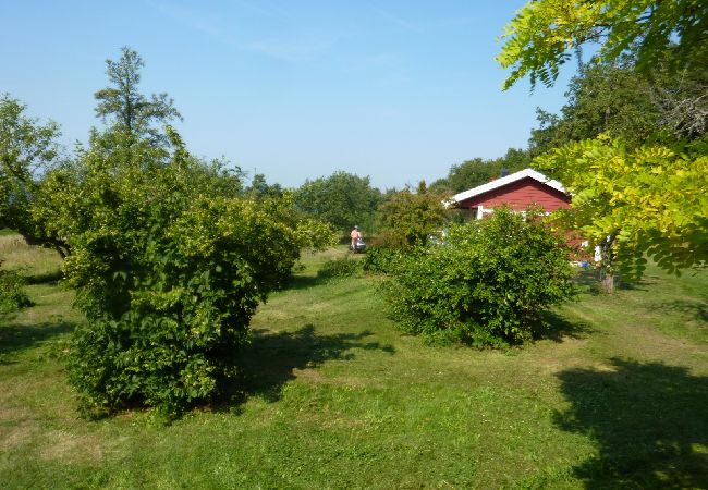 Stuga i Jämjö - Semester med havsutsikt och privat badställe Stuga i Jämjö - Semester med havsutsikt och privat badställe
