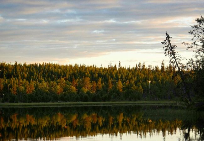 Stuga i Lycksele - Carlsson