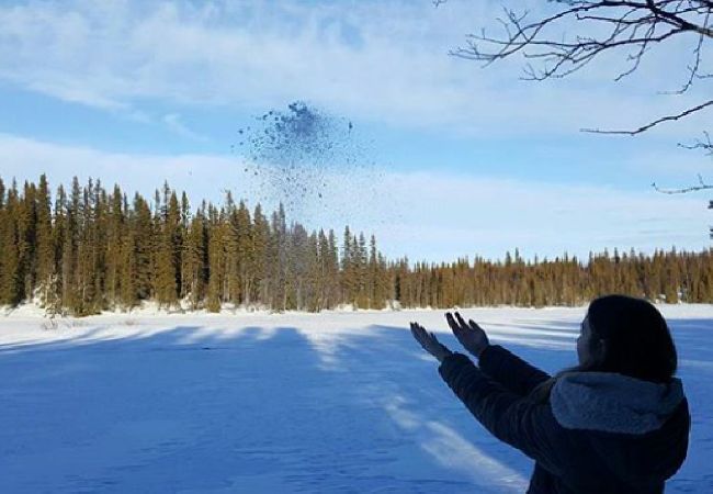 Stuga i Lycksele - Carlsson Stuga i Lycksele - Carlsson