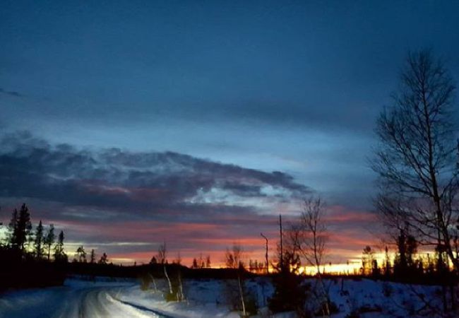 Stuga i Lycksele - Carlsson Stuga i Lycksele - Carlsson