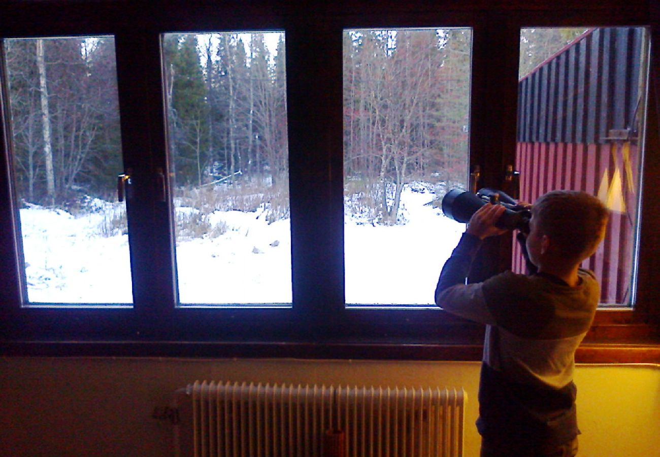 Stuga i Lycksele - Carlsson
