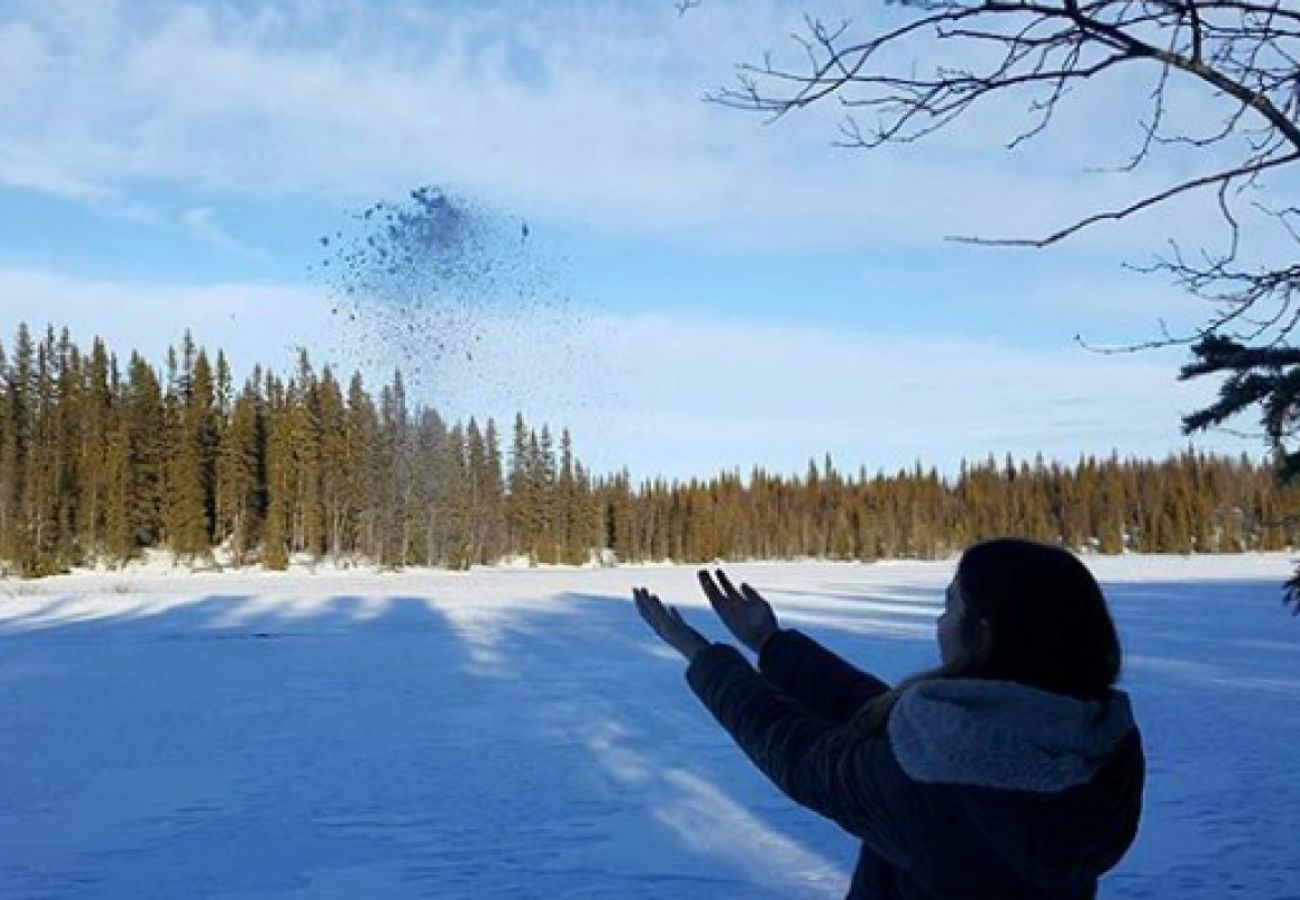 Stuga i Lycksele - Carlsson