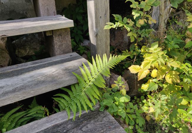 Stuga i Ruda - Mysig liten stuga på landet i Småland Stuga i Ruda - Mysig liten stuga på landet i Småland