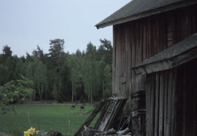 Stuga i Kristinehamn - Semester mellan skog och hage - 500 meter från Vänern